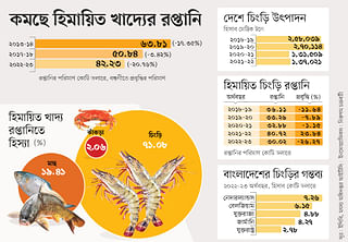 হিমায়িত চিংড়ি রপ্তানিতে ভারতের চেয়ে বাংলাদেশ পিছিয়ে কেন